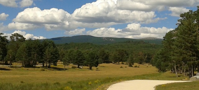 Montes de Urbión