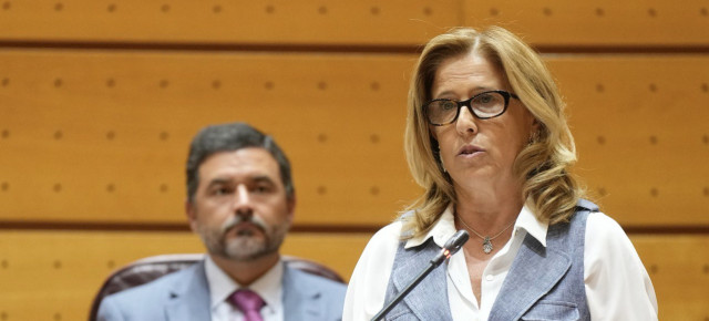 La portavoz de Hacienda del Grupo Parlamentario Popular en el Senado, Pilar Alía