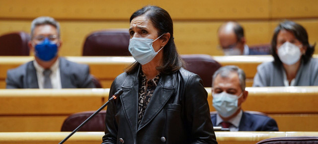 La senadora por Pontevedra, Pilar Rojo