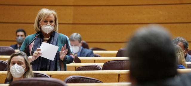 La senadora por Asturias, Mercedes Fernández