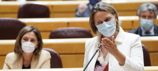 La portavoz adjunta del Grupo Parlamentario Popular y senadora por Mallorca, María Salom