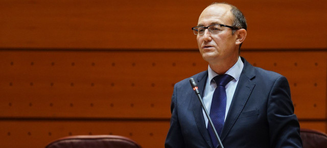 Jorge Domingo Martínez Antolín interviene en el Senado.