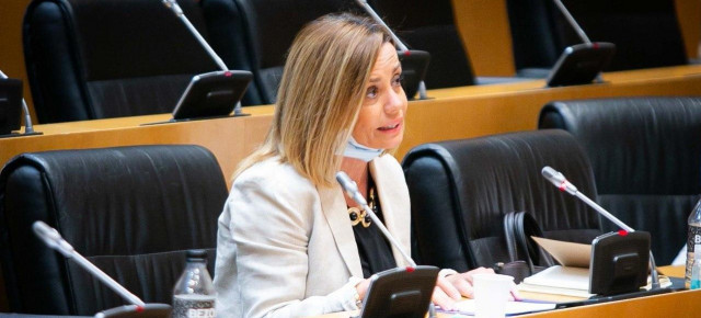 La diputada del GPP en el Congreso de los Diputados, Ana Zurita