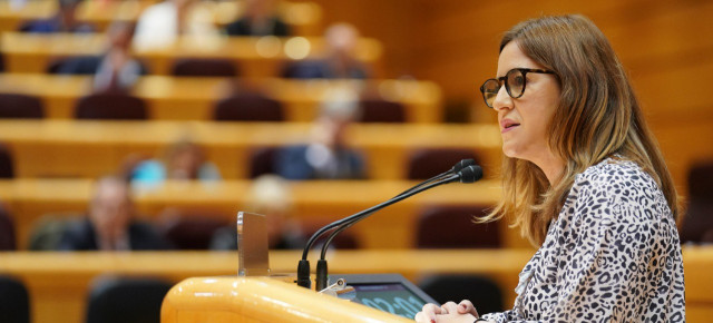 Rocío Dívar en el Senado