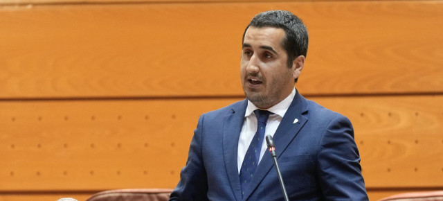 El senador del Grupo Parlamentario Popular por La Palma, Borja Pérez Sicilia