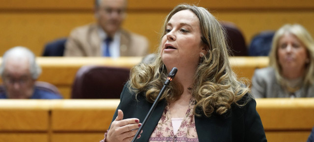 La senadora por Burgos del Grupo Parlamentario Popular, Cristina Ayala