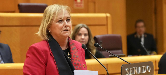 La senadora del Grupo Parlamentario Popular por Asturias, Mercedes Fernández