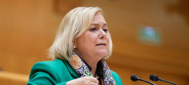 La senadora del Grupo Parlamentario Popular por Asturias, Mercedes Fernández