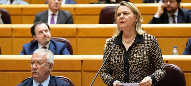 La portavoz adjunta del Grupo Parlamentario Popular y senadora por Mallorca, María Salom