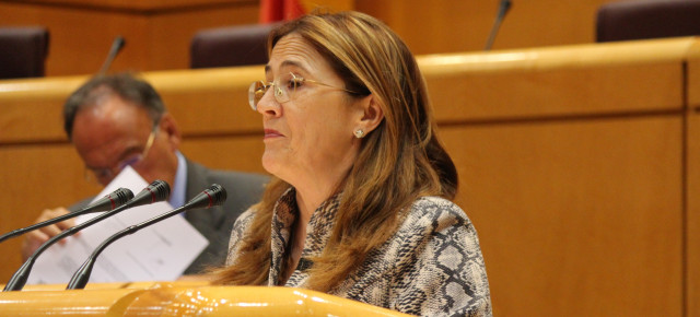 La senadora del Partido Popular, Mayte Martín Pozo