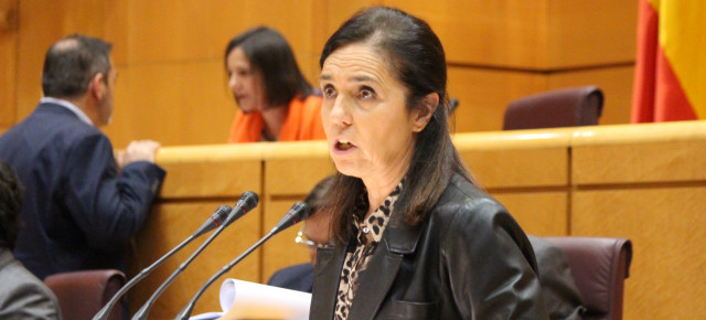 La senadora del Partido Popular, Pilar Rojo