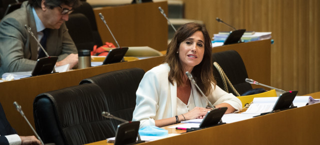 Rosa Romero en la Comisión para la Reconstrucción Social y Económica de España