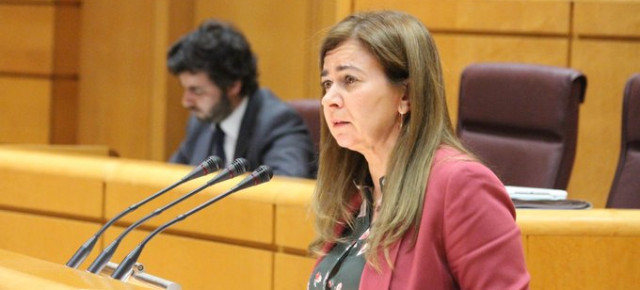 La senadora del Partido Popular, Mª Teresa Ruiz-Sillero