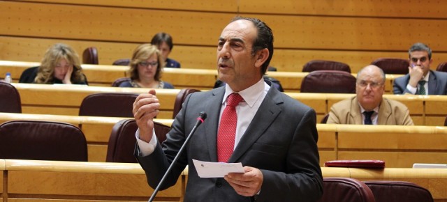 Pedro Sánchez Duque durante el Pleno en el Senado