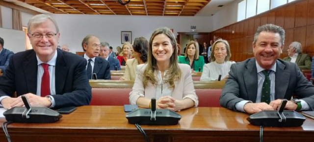 Antonio Silván, durante la Comisión conjunta de Justicia y Constitucional