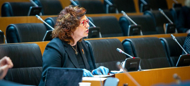 Carmen Riolobos en la Comisión de Consumo