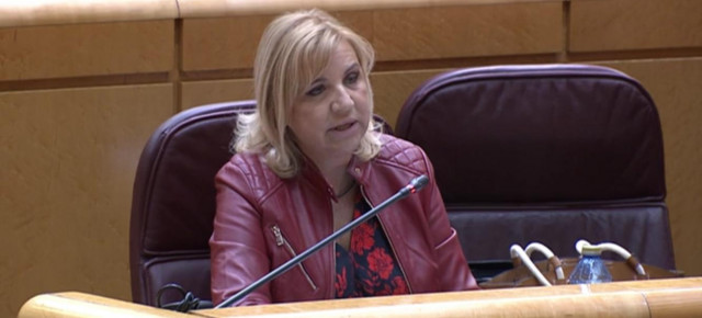 Violante Tomás durante su intervención.