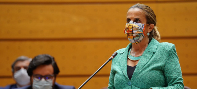 Esther del Brío durante su intervención.