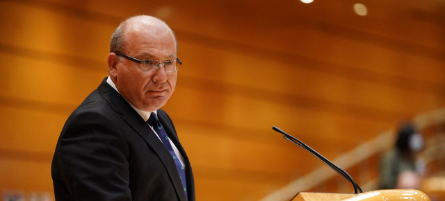 El senador del Grupo Popular, Francisco Javier Márquez