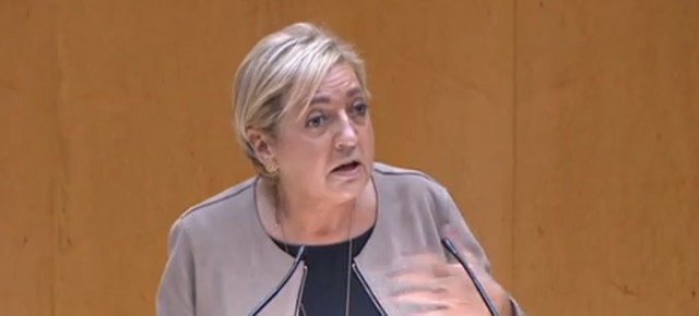 La senadora del PP por Segovia, Paloma Sanz