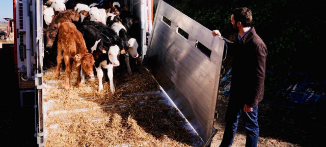 Pablo Casado ha visitado en Alcarrás una explotación agraria y ganadera