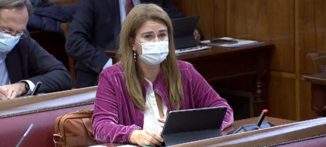 Ruiz-Sillero durante su intervención.