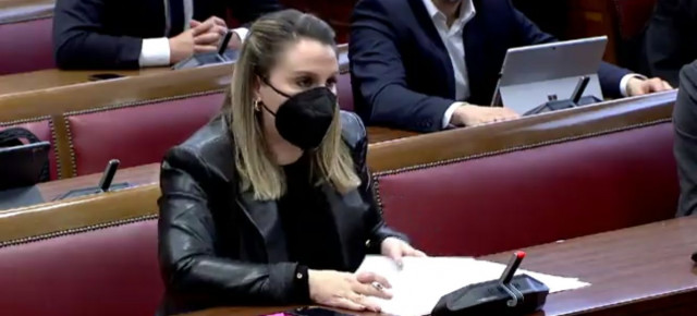 La senadora del GPP por Lugo, Rosa Arza, en la Comisión de Juventud