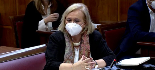 Mercedes Fernández durante su intervención.