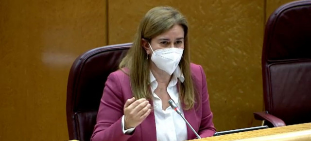 Teresa Ruiz Sillero durante su intervención.