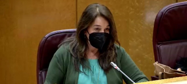 Adela Pedrosa, senadora por Alicante
