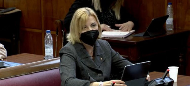 Violante Tomás en el Senado