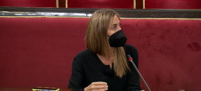 La senadora del PP por Palencia, Carmen Fernández Caballero