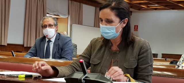 Pilar Rojo en la Comisión de Asuntos Exteriores
