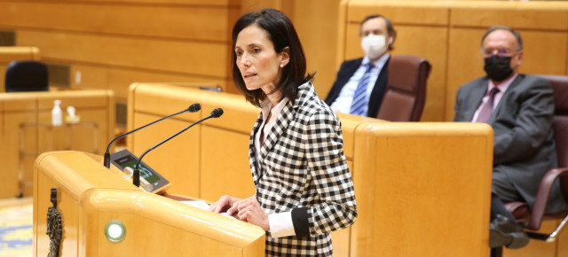 Pilar Rodríguez en el Pleno del Senado 