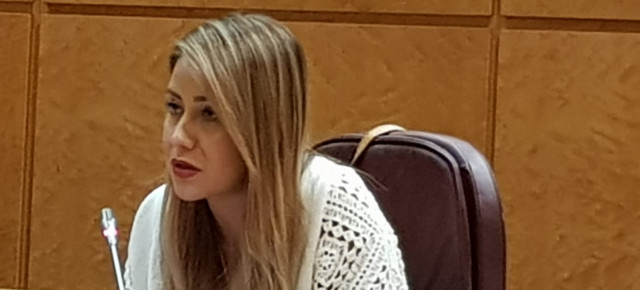 Sofía Acedo hoy, en la Comisión de Interior del Senado