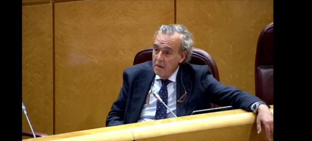 El portavoz de Energía y senador por A Coruña, Juan Juncal