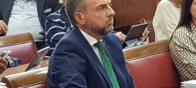 Bienvenido de Arriba, senador por Salamanca, durante su intervención en el Senado