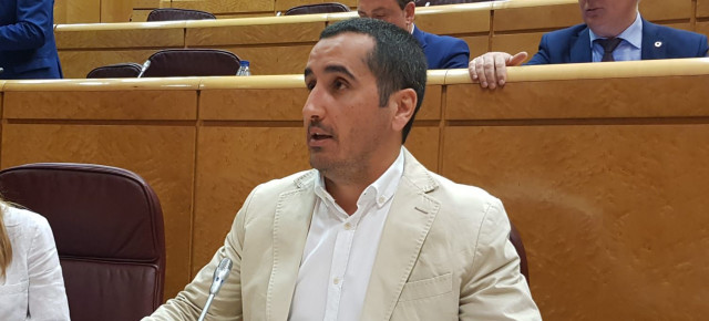 El senador del Grupo Parlamentario Popular por La Palma, Borja Pérez Sicilia