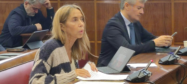 La senadora del Grupo Parlamentario Popular por Palencia, Carmen Fernández Caballero