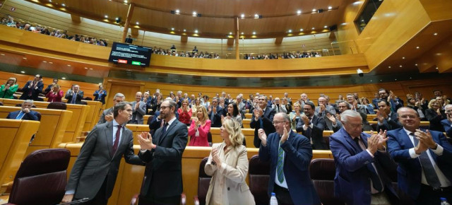 El presidente del Partido Popular, Alberto Núñez Feijóo, acompañado por los senadores del GPP en la Sesión de Control en el Senado