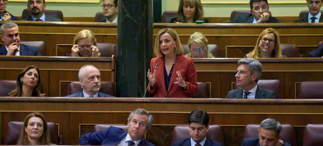 Ana Zurita en la sesión de control al Gobierno