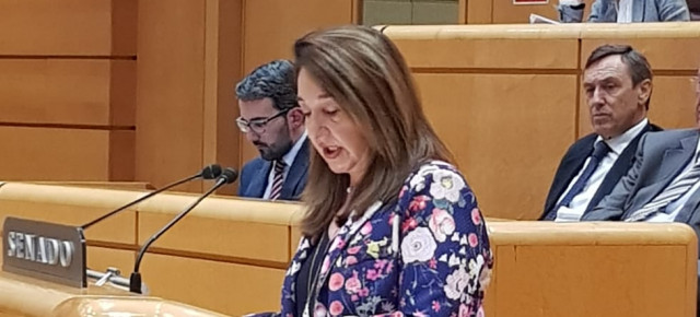 Adela Pedrosa en el Pleno del Senado 