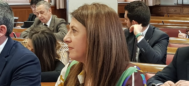 María José Gómez en la Comisión de Agricultura, Ganadería y Alimentación.
