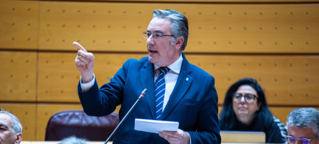 Pablo González durante su intervención en el Senado