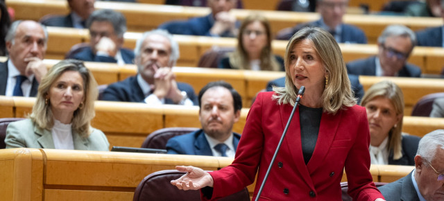 Alicia García en el pleno del Senado 