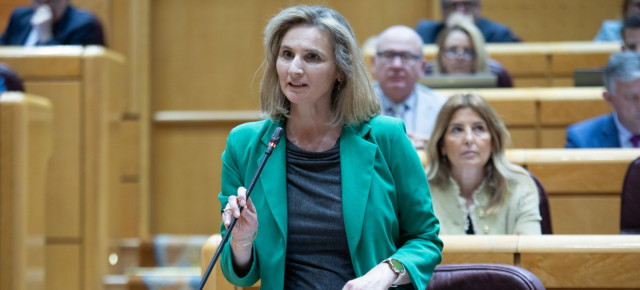 Paloma Martín, en una pregunta en el pleno del Senado