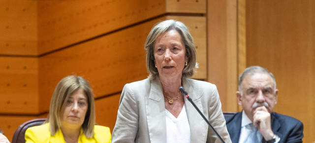 Rosa Gallego interviniendo en el Senado
