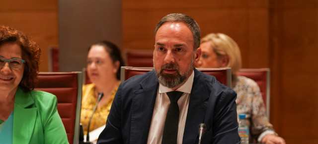 Bienvenido de Arriba en el Senado