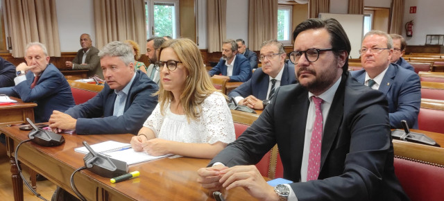Rocío Dívar en el Senado