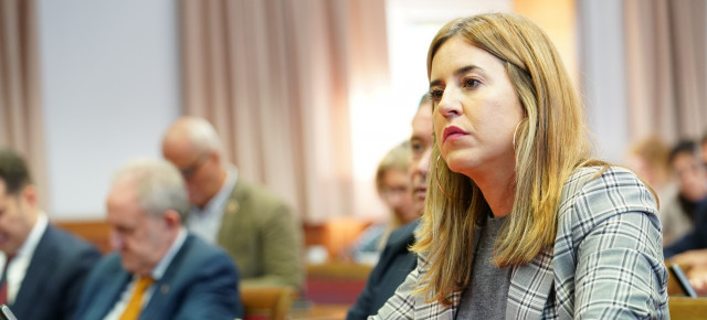 La senadora del GPP, Rocío Dívar